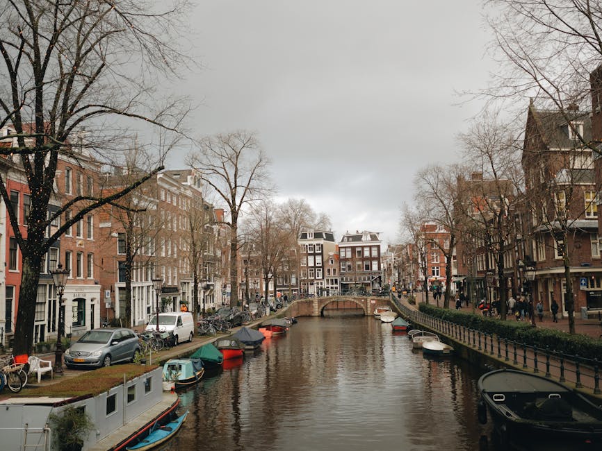 Campus d'Amsterdam University College