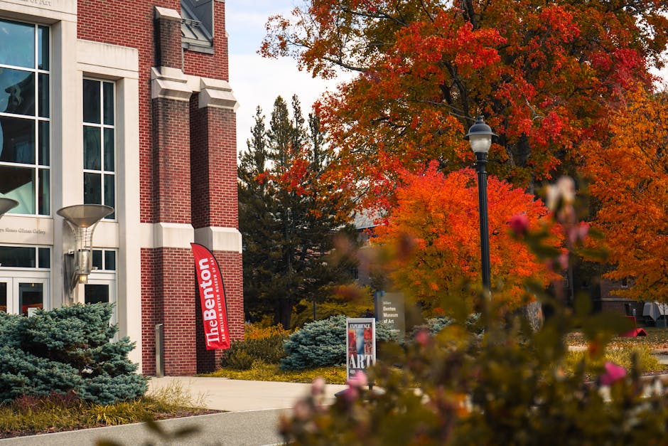 Vibrant fall foliage at the University o