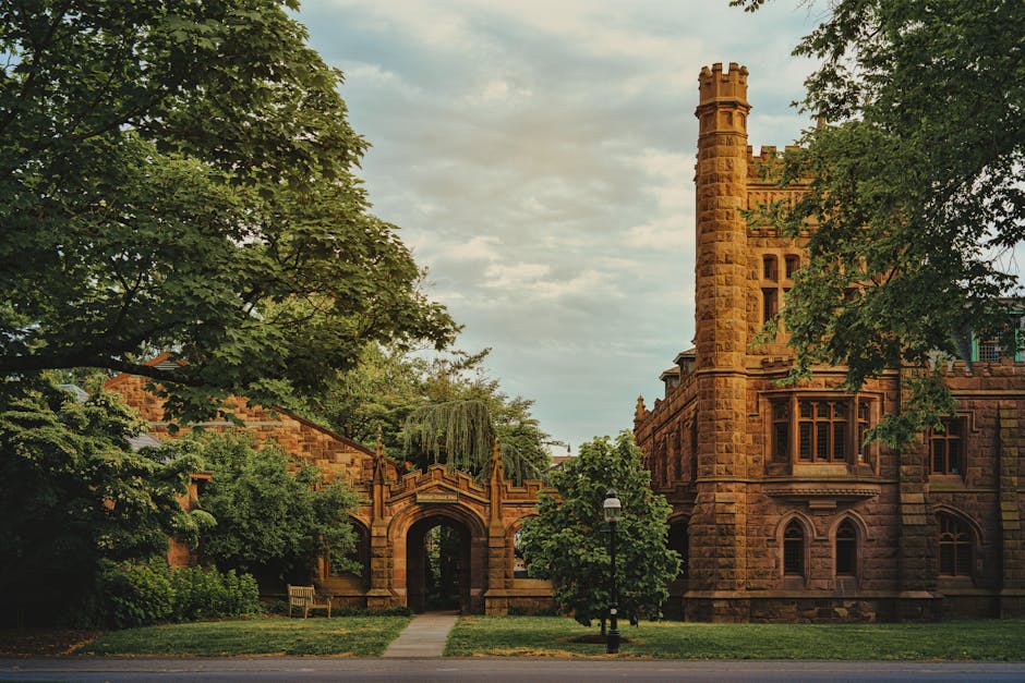 Harvard University