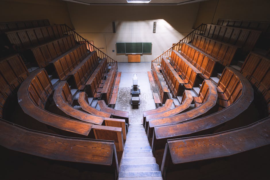 Scolarité à l’Étranger et Parcoursup : Comment Valoriser une Expérience Internationale