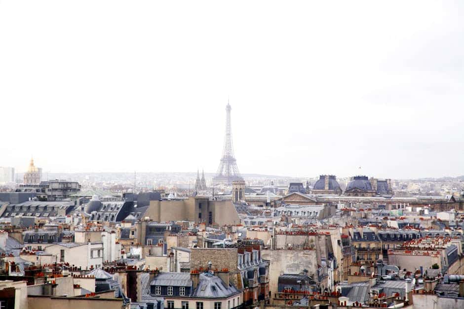 A scenic view of Paris rooftops with the