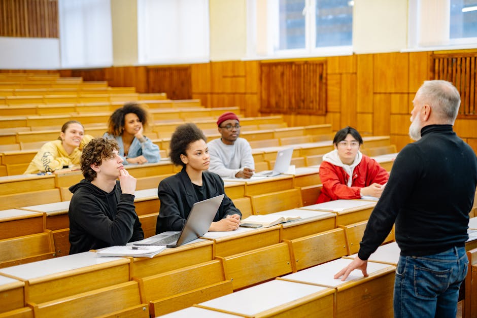 University students engaging in a divers