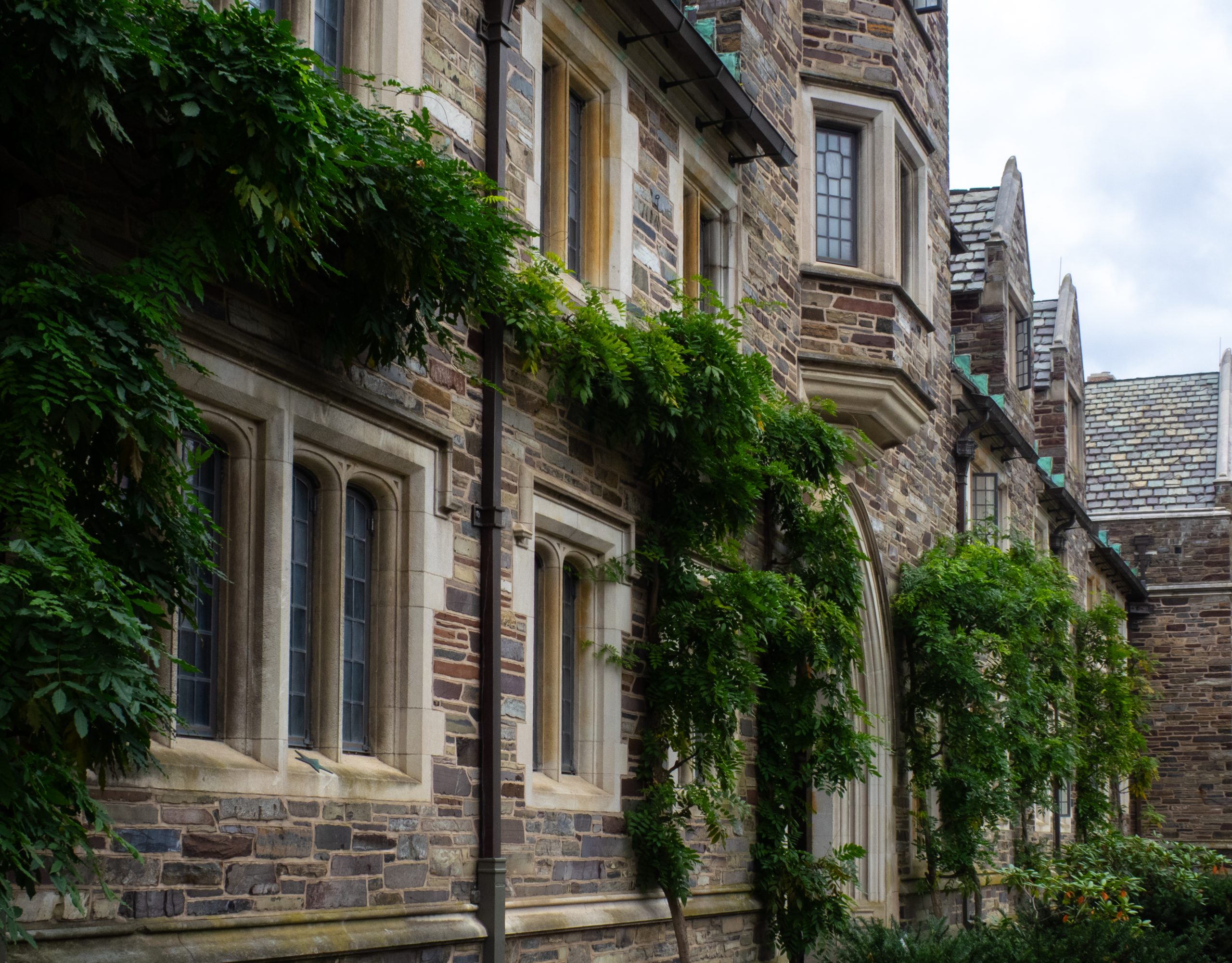 Ivy Covered Building in the Princeton Un