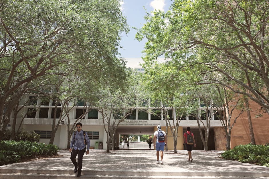 Students walking through a sunlit univer