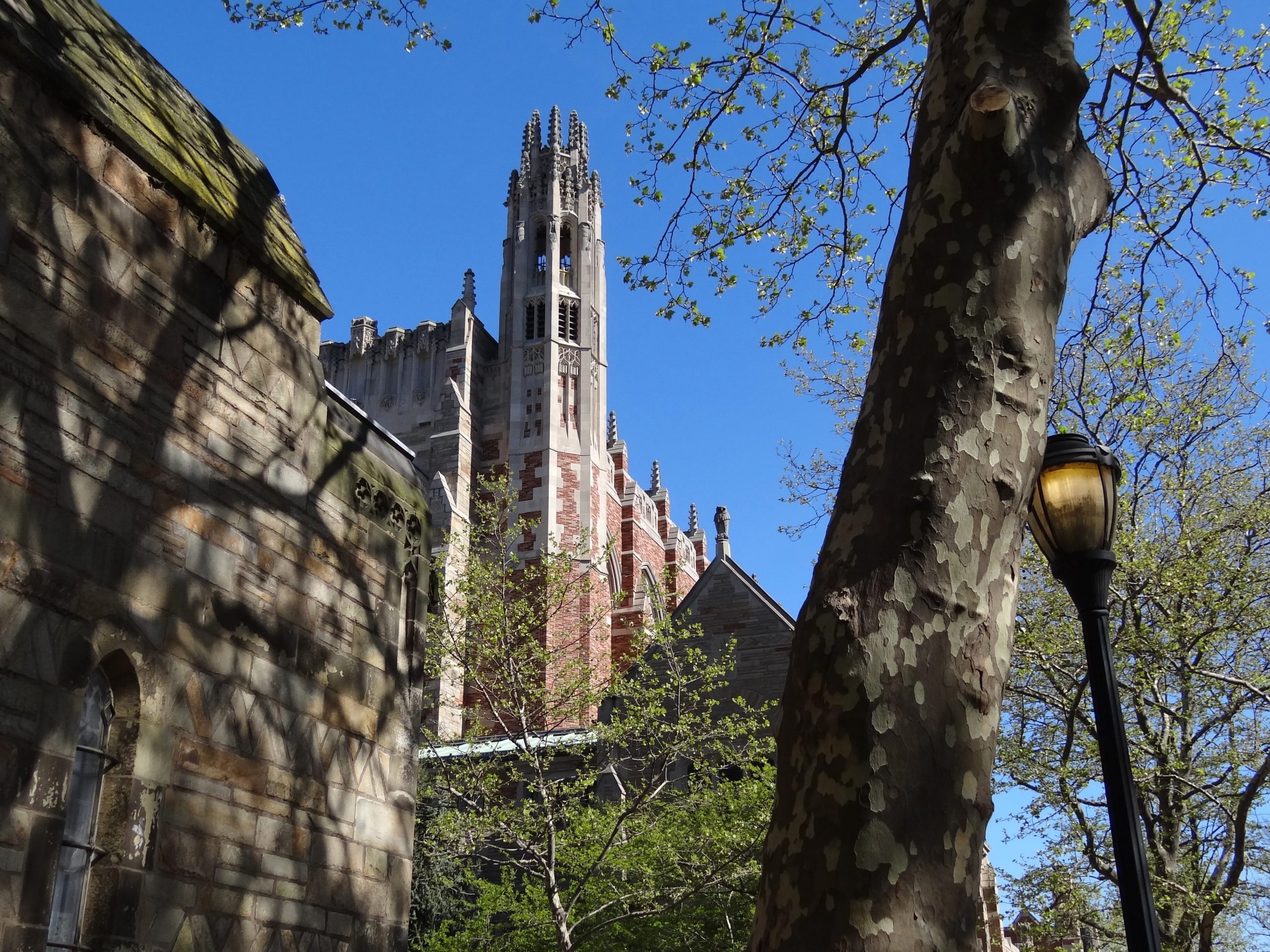 Yale University Campus Scene - New Haven